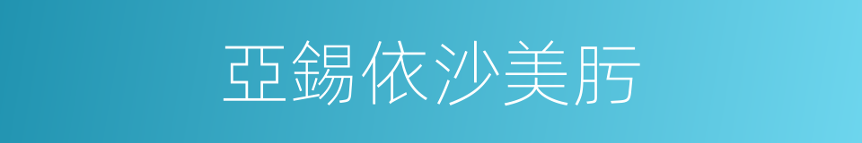 亞錫依沙美肟的同義詞