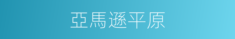 亞馬遜平原的同義詞