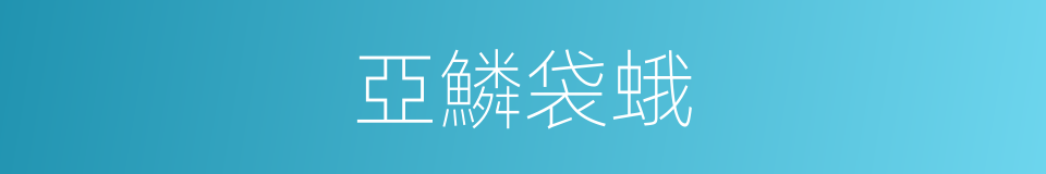 亞鱗袋蛾的同義詞