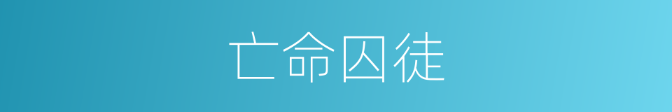 亡命囚徒的同义词