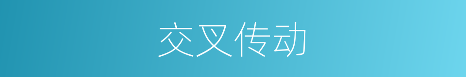 交叉传动的同义词
