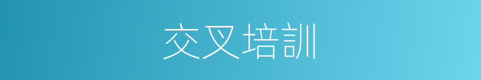 交叉培訓的同義詞