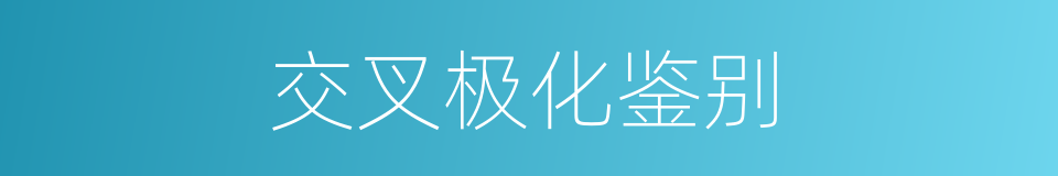 交叉极化鉴别的同义词