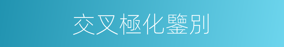交叉極化鑒別的同義詞