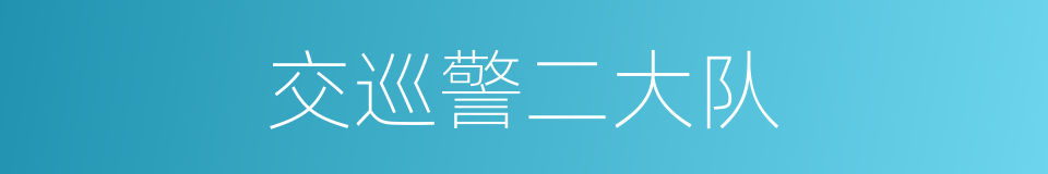 交巡警二大队的同义词