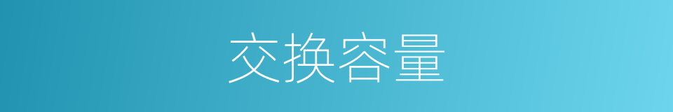 交换容量的同义词