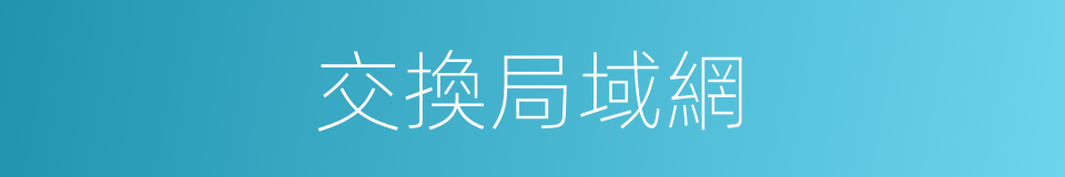 交換局域網的同義詞