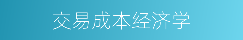 交易成本经济学的同义词