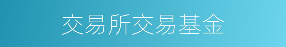 交易所交易基金的同义词