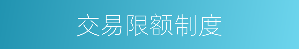 交易限额制度的同义词