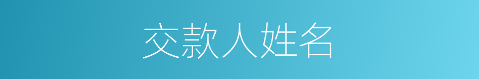 交款人姓名的同义词