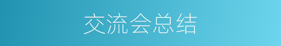 交流会总结的同义词