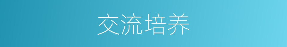 交流培养的同义词