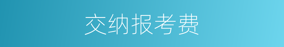 交纳报考费的同义词