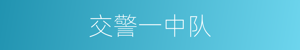 交警一中队的同义词