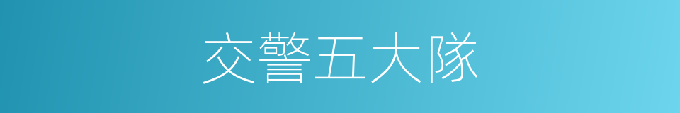 交警五大隊的同義詞