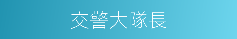 交警大隊長的同義詞