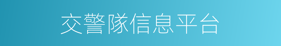 交警隊信息平台的同義詞