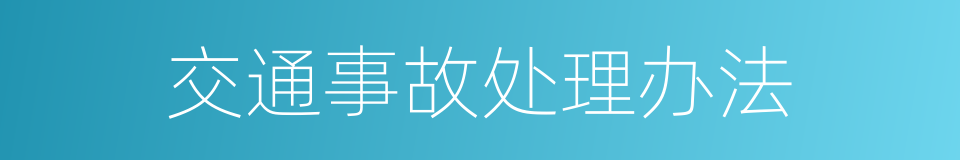 交通事故处理办法的同义词