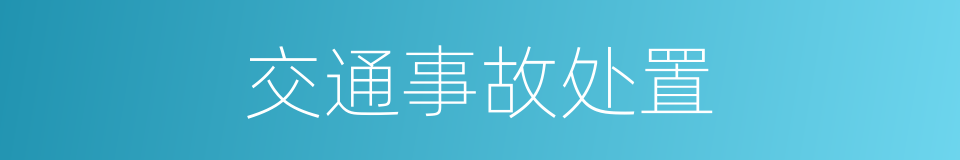 交通事故处置的同义词