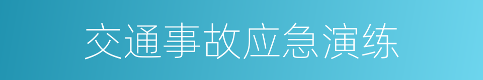 交通事故应急演练的同义词