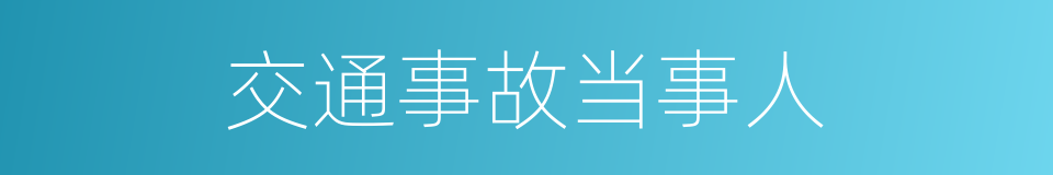 交通事故当事人的同义词