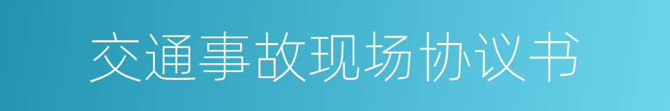 交通事故现场协议书的同义词