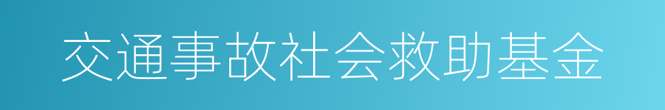 交通事故社会救助基金的同义词