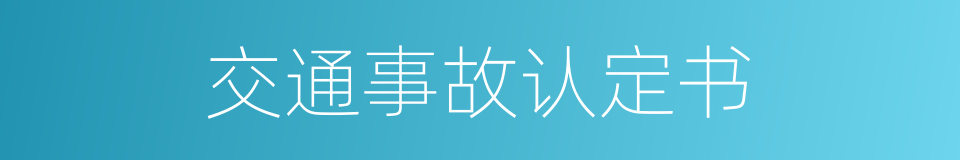 交通事故认定书的同义词