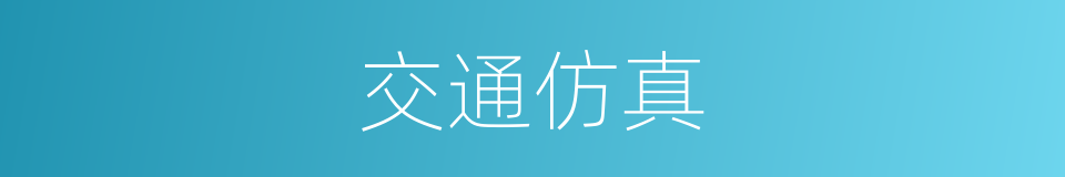 交通仿真的同义词