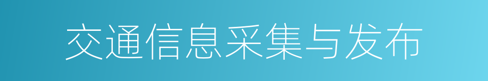 交通信息采集与发布的同义词