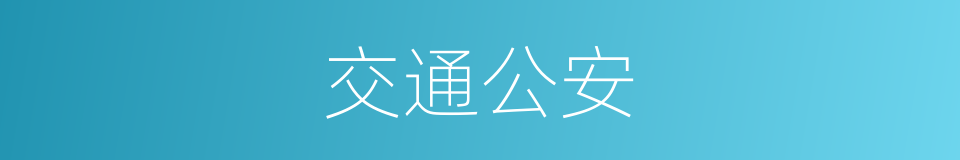 交通公安的同义词