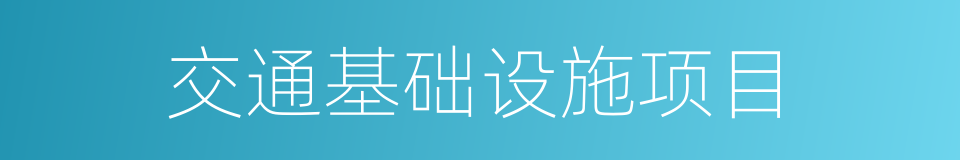 交通基础设施项目的同义词