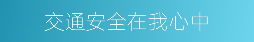 交通安全在我心中的同义词