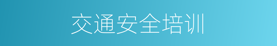 交通安全培训的同义词
