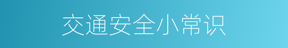 交通安全小常识的同义词