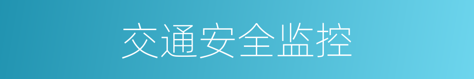交通安全监控的同义词