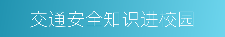 交通安全知识进校园的同义词