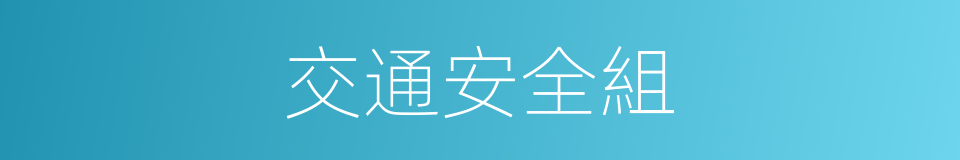 交通安全組的同義詞