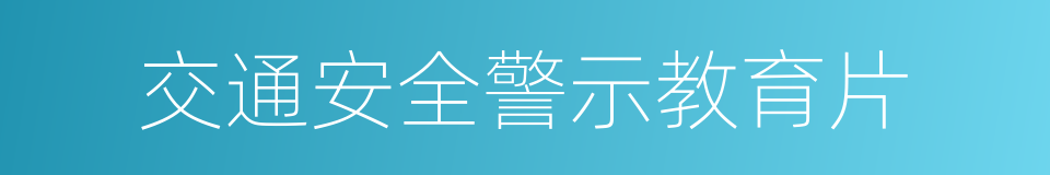 交通安全警示教育片的同义词