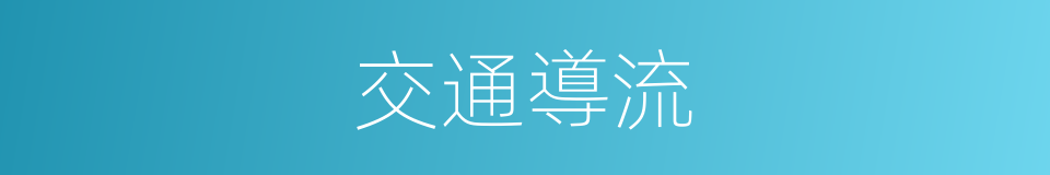 交通導流的同義詞