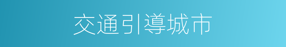 交通引導城市的同義詞