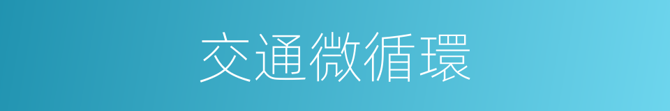 交通微循環的同義詞