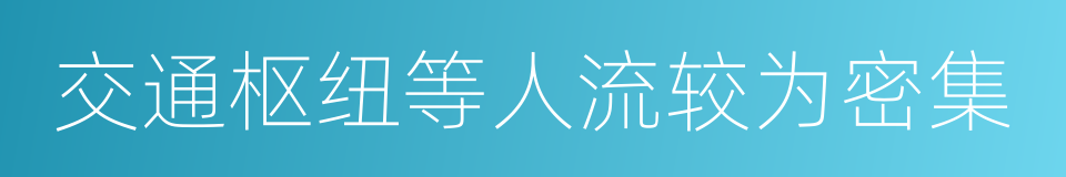 交通枢纽等人流较为密集的同义词