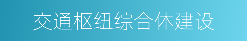 交通枢纽综合体建设的同义词