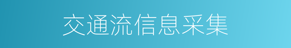 交通流信息采集的同义词