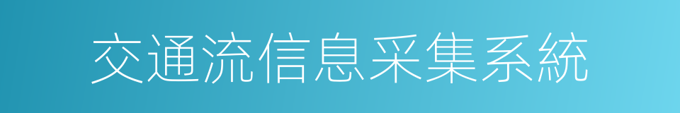 交通流信息采集系統的同義詞