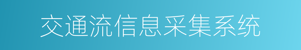 交通流信息采集系统的同义词