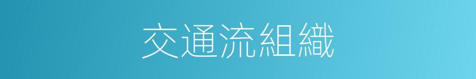 交通流組織的同義詞