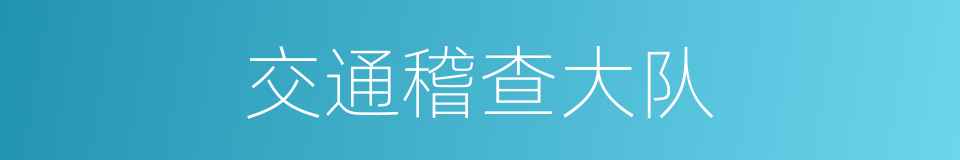 交通稽查大队的同义词
